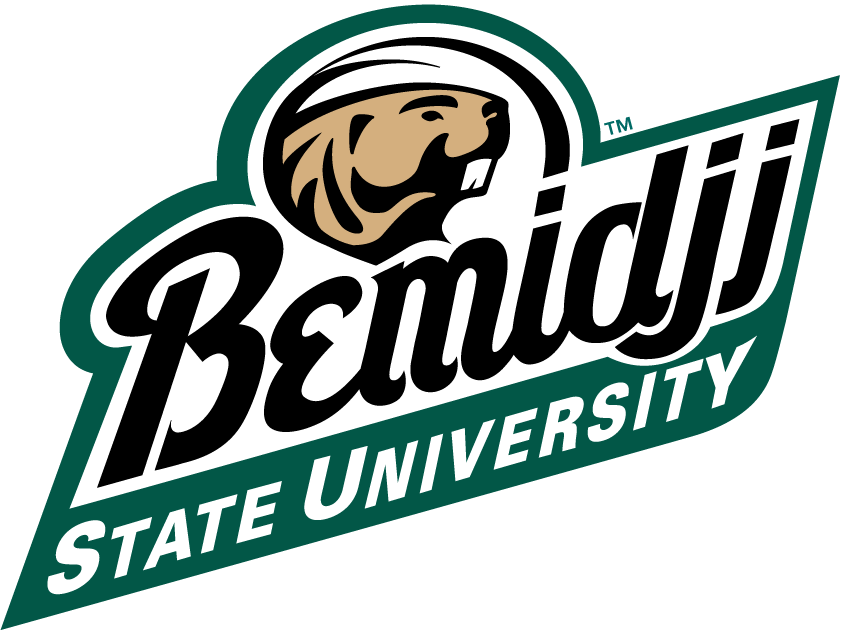 Bemidji State Beavers 2004-Pres Alternate Logo iron on transfers for clothing